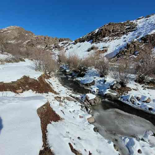 محمد امیری بی وفا جایی نمیری بگو یه تار موی منو به او یارو نمیدی